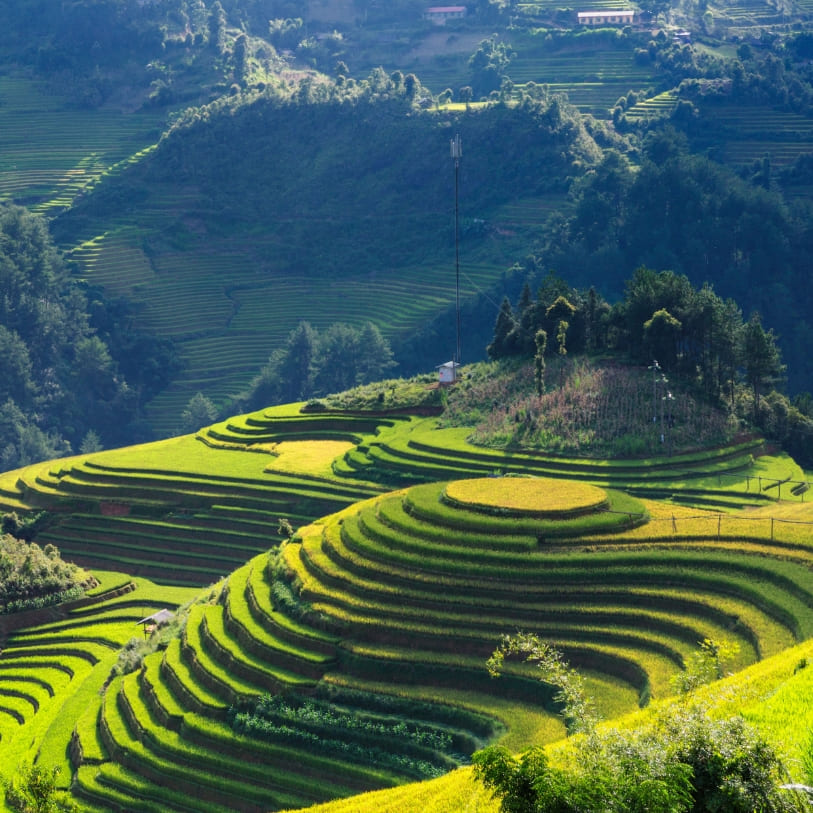 Viajes a Vietnam