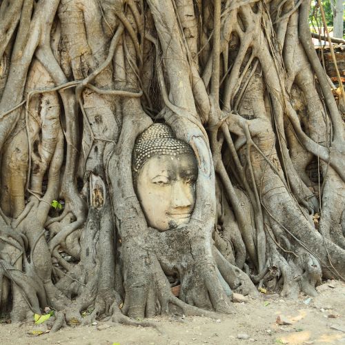 Wat Maha That