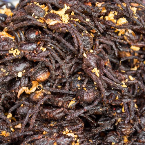 Spider market Camboya