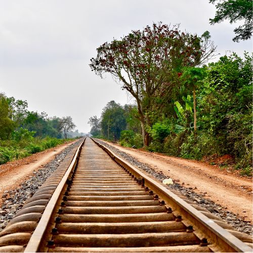 Tren de Bambú