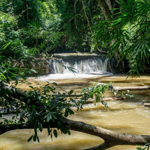 La zona de Mondulkiri: naturaleza y cultura en las tierras altas