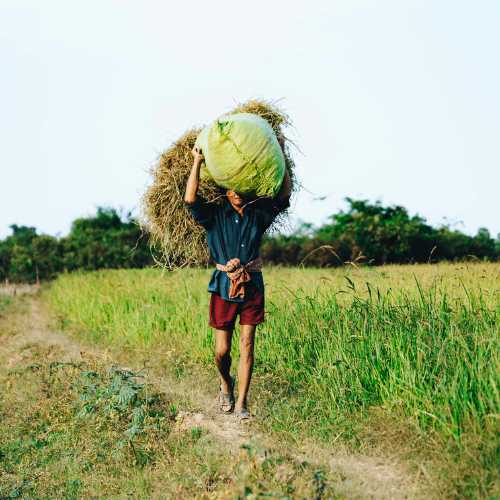 Camboya etnias desconocidas