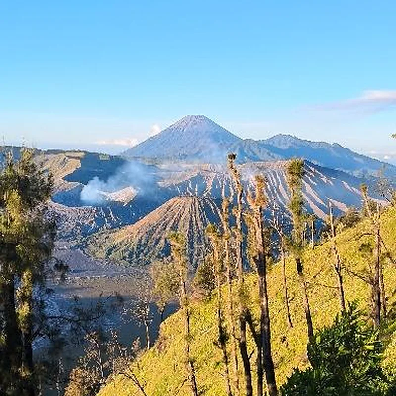 Volcán Bromo y caldera de Tengger al amanecer